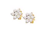 9 kt guld �reringe m/ 14 stk 2,5 mm zirkonia